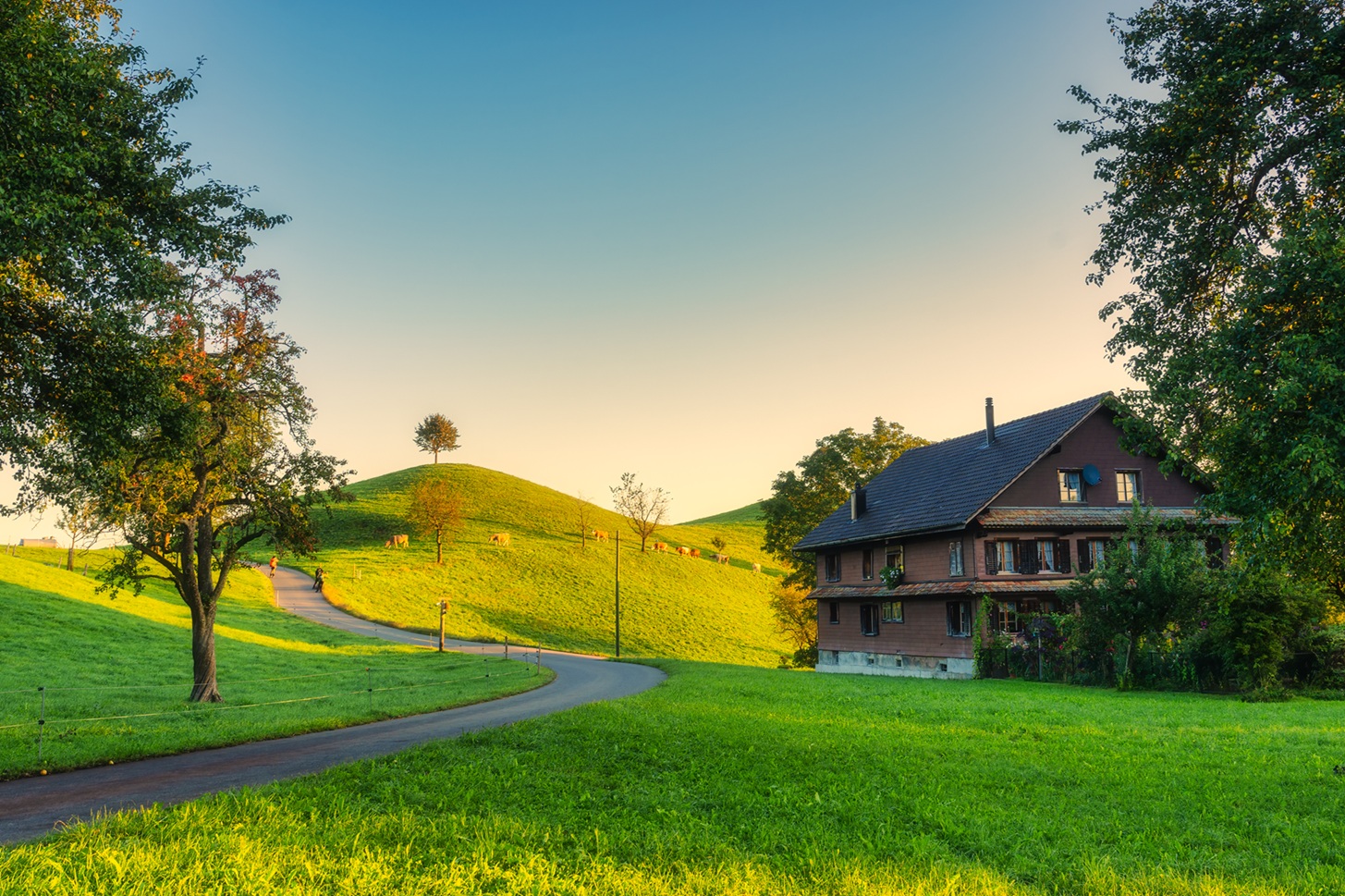 Scenic of peaceful village like a fairy tale with lonely tree on